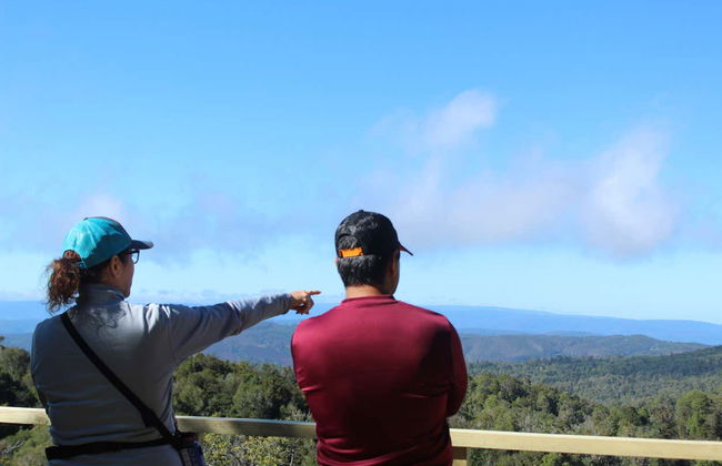 Hiking in Oncol Park - Photo 5