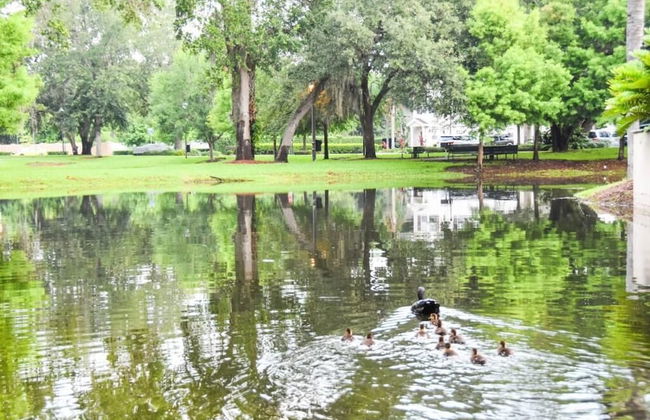 Lucaya 3 Bedrooms 2 Bathrooms Townhome With Free Wifi - Foto 19