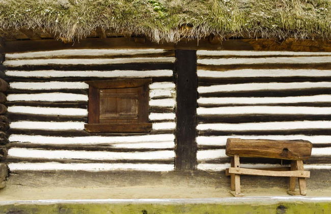 Visita guidata del Museo del Villaggio e del Parco Herastrau - Foto 6