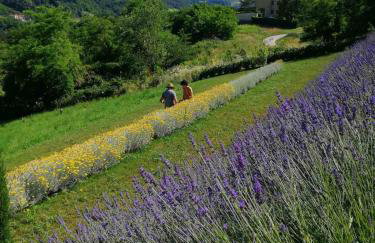 HillTop House - Foto 8