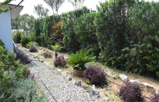 George Beach Studios - Foto 50