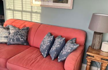 Oystercatcher - Foto 9