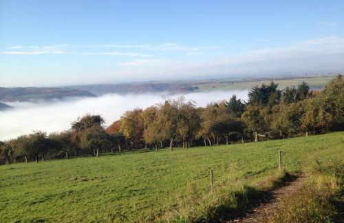 Moselschön Das Ferienhaus - Foto 63