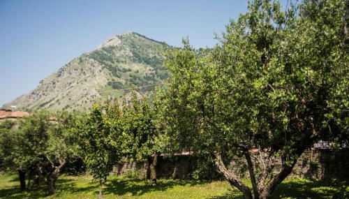 Casa Vacanza Dal Cavaliere - Foto 5