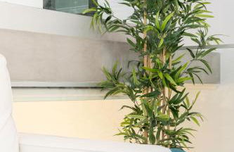 Pátio da Rainha A by NOOK - Photo 7