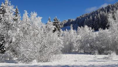 CHALET LES EPILOBES - Foto 3