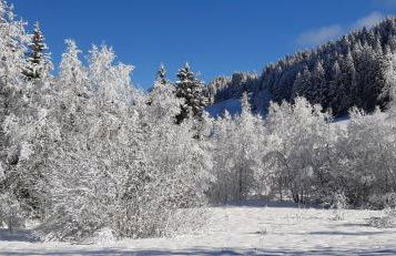 CHALET LES EPILOBES - Foto 3