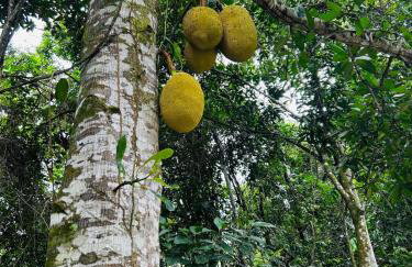 Pedacinho do Céu - Foto 10