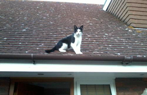 Hopewell self-catering - Foto 50