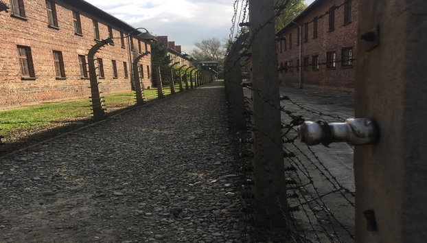Excursión de un día completo a Auschwitz-Birkenau desde Varsovia en tren - Foto 4