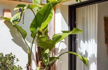 Ca Jardi, Luxury Ibiza-Style villa with private pool, Javea - Foto 54