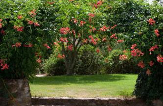 Monte dos 2 Tanques - Foto 16