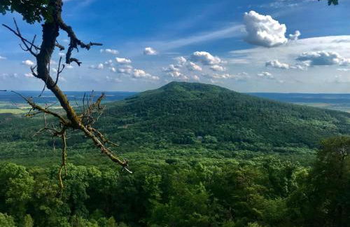 Ferienwohnungen GoJa - Foto 62