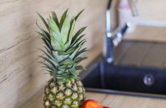 Amaryllis - Photo 28