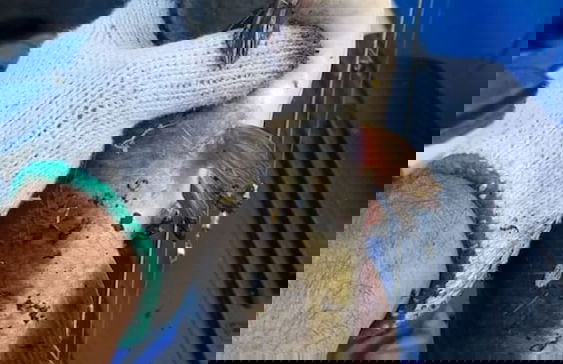 Gearhart Lakefront Oasis - Foto 33