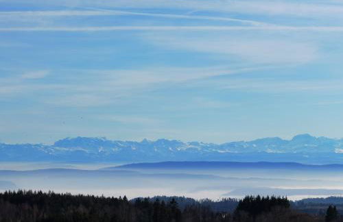 Ferienwohnung Heimatliebe mit Alpenblick - Foto 28