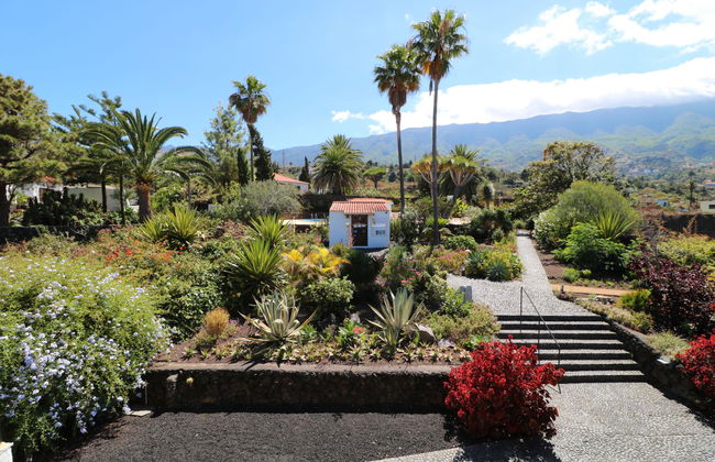 Apartamentos Miranda - Foto 16