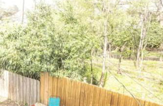 29th Street Trendy Lakeview Craftsman 8 - Foto 61