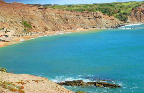 Campo de Oleandros - Foto 40