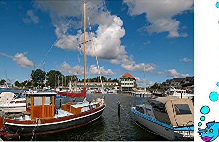 Ferienwohnung mit Terrasse - Insel Usedom - Foto 49