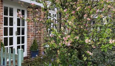 The Nook - Photo 3, Garden