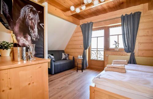 Domki Wiśta Wio - Foto 40