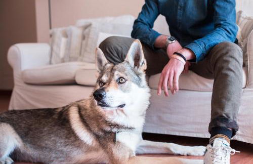 Residenza Santa Cecilia - Foto 11