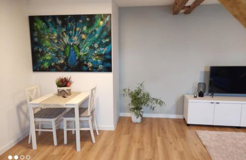 Mieszkanie nad jeziorem Olsztyn - Photo 17