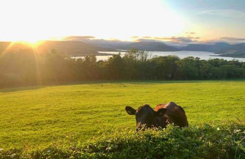 Bayside - Breathtaking views of the Clyde - Foto 37