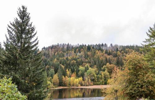 Forsthauswohnung im Schwarzwald - Foto 37