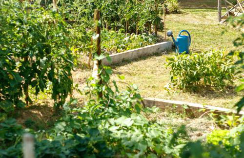 L'Envol - Oasis Ressource - Foto 44