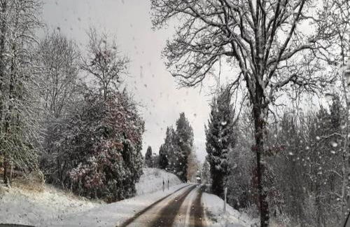 Villa in Zentrumsnähe, Medebach - Foto 34