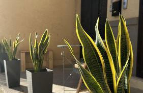 Case Vanella Grande aspra bagheria - Foto 19