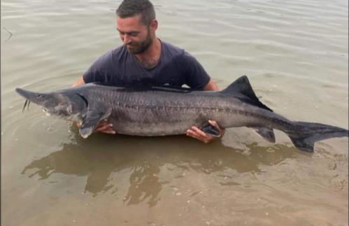 Lakeside Fishing Pods - Foto 21