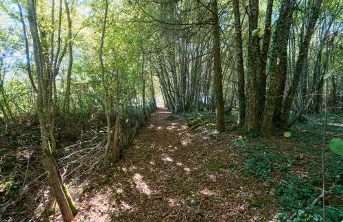 L'Envol - Oasis Ressource - Foto 12