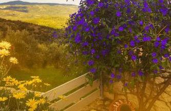 ''Shinohori'' Olive-Tree Apartment - Foto 21