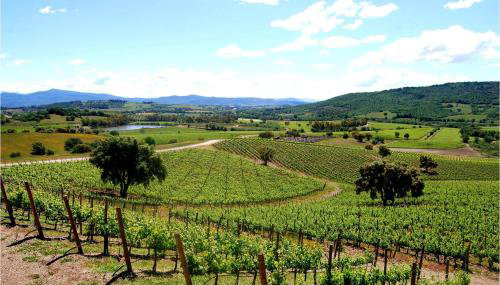 Cozy Apartment In Montenero D'orcia - Foto 5