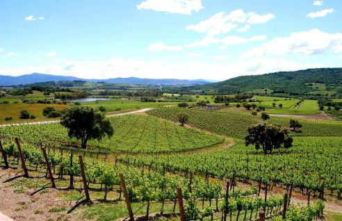 Cozy Apartment In Montenero D'orcia - Foto 6