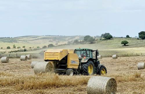 Casas do Monte - Foto 33