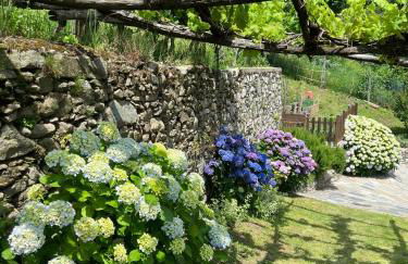 Casa Nonna Nina - Foto 25