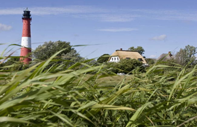Ferienwohnung im Reetdachhaus auf der Pellworm - Foto 12