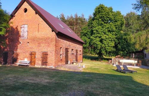 Dębowe dawna leśniczówka - Photo 6