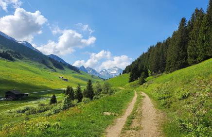 les Grands Balcons de l'Etale - Photo 23