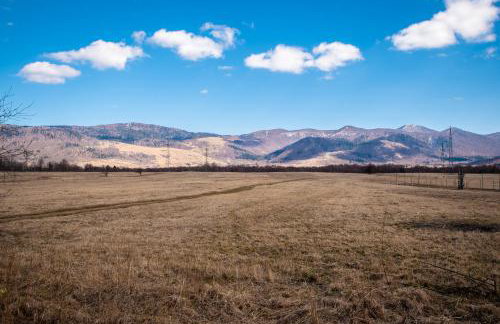 Pine & Oak Holiday Home - Foto 35