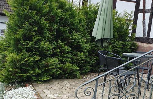 Apartaments Am Schloß - Foto 30