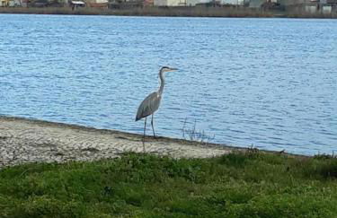 Bela Vista Barrinha - Foto 28