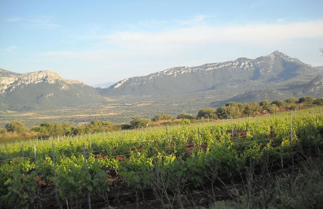 Agriturismo Su Tiresi - Foto 37