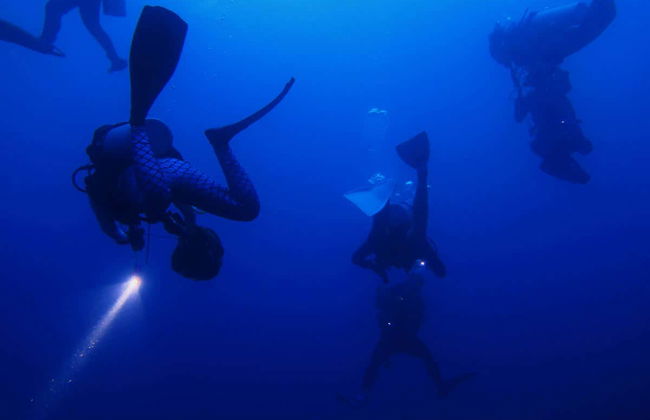 Plongée de nuit à Malapascua - Photo 1