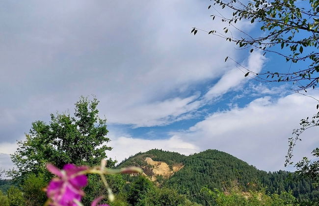 Rustic Wild Retreat IN Romania - Foto 11