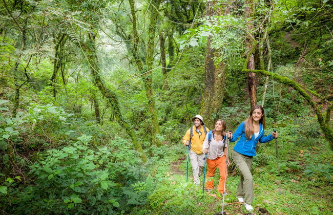 Day Trip to El Rey National Park - Photo 2